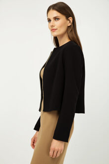 Rechte jas met lange mouwen Zwart