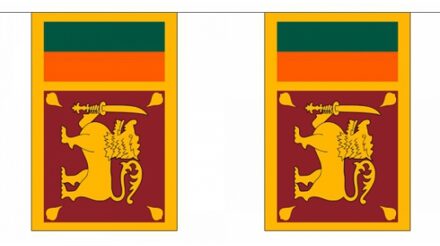 Rechthoekige vlaggenlijn Sri Lanka