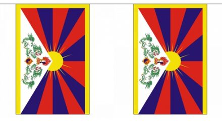 Rechthoekige vlaggenlijn Tibet 9 m