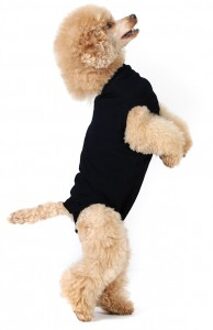 recovery suit hond zwart s+ 49-57 cm