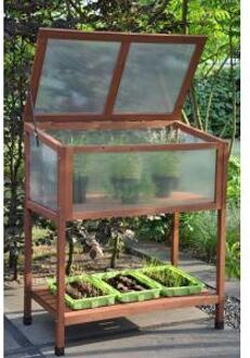 Red Leaf Broeikas Bruin