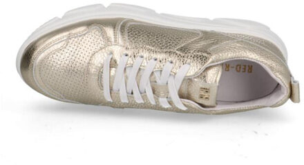 Red Rag 71566 - maat 40 Goud