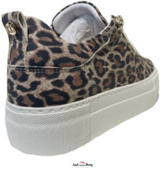 Red Rag Damesschoenen sneakers - maat 38 Bruin