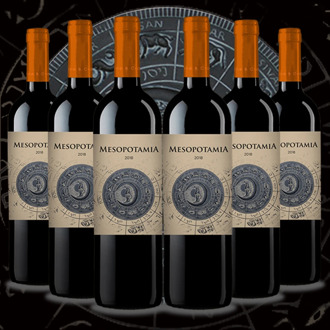 Red wine, Mesopotamia Roble 2018 (6bot x 0,75L) best red wine oak Aribayos Wines & craft beers. Wines From Toro. Wines from Spain