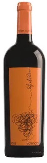Red wine Rafael Cambra two, D.O Valencia, free from Spain, red wine