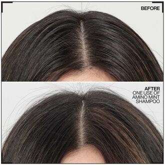 Redken Amino Mint Scalp Cleansing for Greasy Hair Shampoo and Acidic Bonding Concentrate Conditioner Bundle