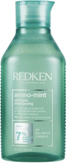 Redken Shampoo Redken Amino Mint Shampoo 300 ml