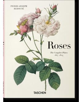 Redoute. Roses - H. Walter Lack