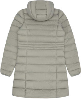 Reebok Dames Glacier Shield Parka (Sage) Grijs