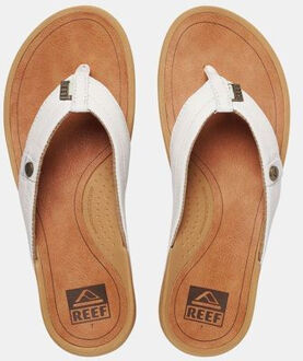 Reef Pacific Slipper Dames Bruin - 37.5