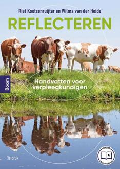 Reflecteren -  Riet Koetsenruijter, Wilma van der Heide (ISBN: 9789024451579)
