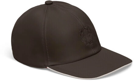 Reflections pet Bruin - S / M