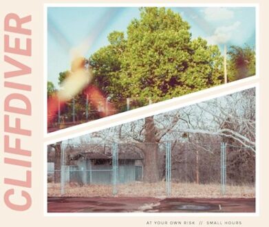 Refresh At Your Own Risk (Hot Pink Vinyl) - Cliffdiver