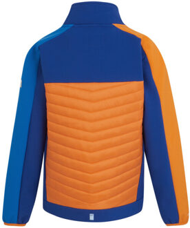 Regatta Childrens/kids brynden gewatteerde full zip soft shell jas Blauw - 104