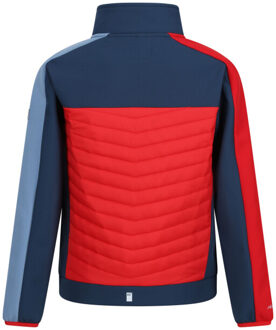 Regatta Childrens/kids brynden gewatteerde full zip soft shell jas Blauw - 116