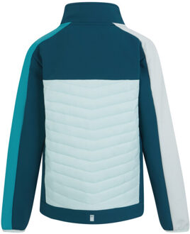 Regatta Childrens/kids brynden gewatteerde full zip soft shell jas - maat 158 Blauw