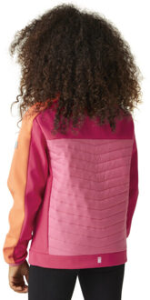 Regatta Childrens/kids brynden gewatteerde full zip soft shell jas Roze - 170/176