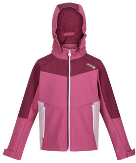Regatta Childrens/kids eastcott ii soft shell jacket Paars - 170/176
