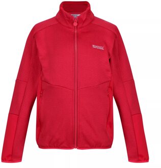 Regatta Childrens/kids highton iii full zip fleece jacket Roze - 116