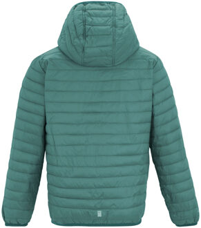 Regatta Childrens/Kids Hillpack Hooded Jacket (Ivy Mos) - maat 11-12J / 146-152cm Groen