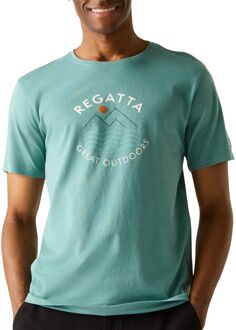 Regatta Cline IX Shirt Heren