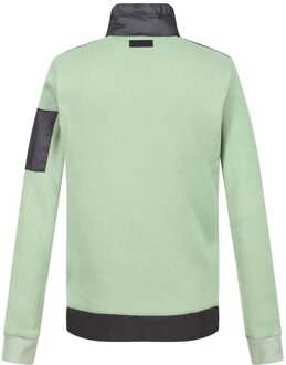 Regatta Colliston lichtgewicht gewatteerd jack voor dames in grijs - EU 36 / UK 8