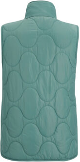 Regatta Dames Carlotte Gilet (Ivy Moss) Groen - EU 46 / UK 18