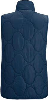 Regatta Dames Carlotte Gilet (Marineblauw) Navy - EU 38 / UK 10