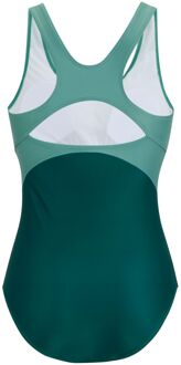 Regatta Dames/dames Actief eendelig zwempak (Ivy Mos) Groen - EU 42 / UK 14
