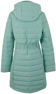 Regatta Dames/Dames Andria Gewatteerde Jas (Groene waas) Salie Groen