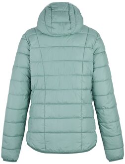 Regatta Dames/Dames Asper Gewatteerd Jasje (Groene waas) Salie Groen - EU 44 / UK 16