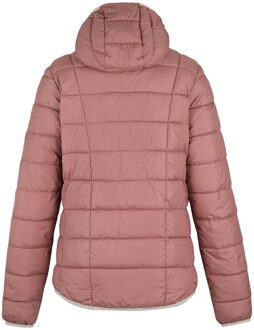 Regatta Dames/Dames Asper Gewatteerd Jasje (Stoffige roos) Rosé - EU 40 / UK 12