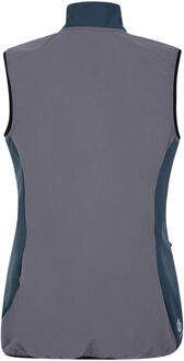Regatta Dames/Dames Avidly Softshell Gilet (Donker storm/ion grijs/zwart) Blauw/Donkergrijs