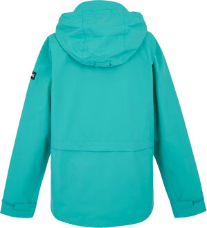 Regatta Dames/Dames Bayletta II Waterdichte Jas (Turquoise) - maat EU 38 / UK 10