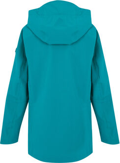 Regatta Dames/Dames Birchdale II Waterdichte Jas (Exotisch pruim/Icy ochtend) Middelblauw