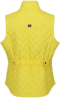 Regatta Dames/Dames Carmine Gilet (Maïs Geel)