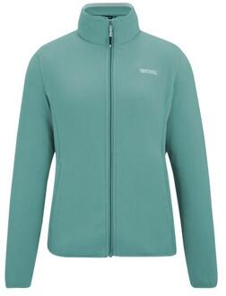 Regatta Dames/Dames Clemence IV Full Zip Fleece (Ivy Mos) Groen - EU 46 / UK 18