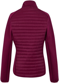 Regatta Dames/Dames Clumber Hybride Jas (Donker Pimento) Rood