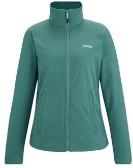 Regatta Dames/dames Connie V Softshell wandeljack (Ivy Mos) Groen - EU 38 / UK 10