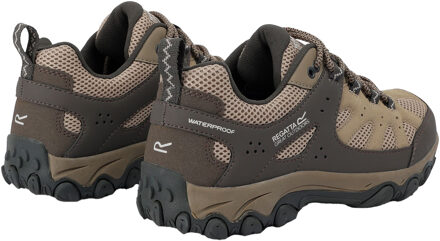 Regatta Dames/Dames Edgepoint IV Laag Loopschoenen (Zacht Taupe/Treetop) - EU 38 / UK 5