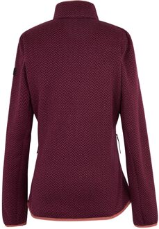 Regatta Dames/Dames Elzie Full Zip Fleecejack (Donker piment/Bourgondië) Bordeaux