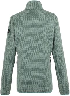 Regatta Dames/Dames Elzie Full Zip Fleecejack (Groene Haze/Vurengroen) Donkergroen - EU 46 / UK 18