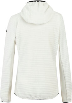 Regatta Dames/Dames Endra Fleecejas met capuchon (Grijs)