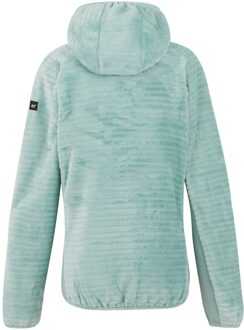 Regatta Dames/Dames Endra Fleecejas met capuchon (Groene waas) Salie Groen