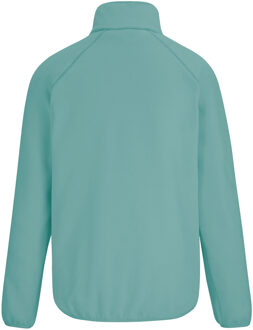 Regatta Dames/Dames Frankie Quarter Zip Fleece Top (Ivy Mos) - maat EU 40 / UK 12 Groen