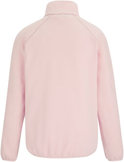 Regatta Dames/Dames Frankie Quarter Zip Fleece Top (Roze waas) Lichtroze - EU 44 / UK 16