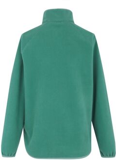 Regatta Dames/Dames Frankie Quarter Zip Fleece Top (Sparrengroen) - maat EU 38 / UK 10 Donkergroen