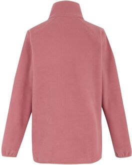 Regatta Dames/Dames Frankie Quarter Zip Fleece Top (Stoffige roos) Rosé - EU 46 / UK 18