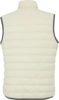 Regatta Dames/Dames Hillpack II Gilet (Licht vanille/grijs) Ivoor