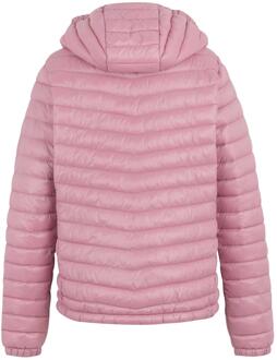 Regatta Dames/Dames Hurden Gewatteerde Jas (Lila's)